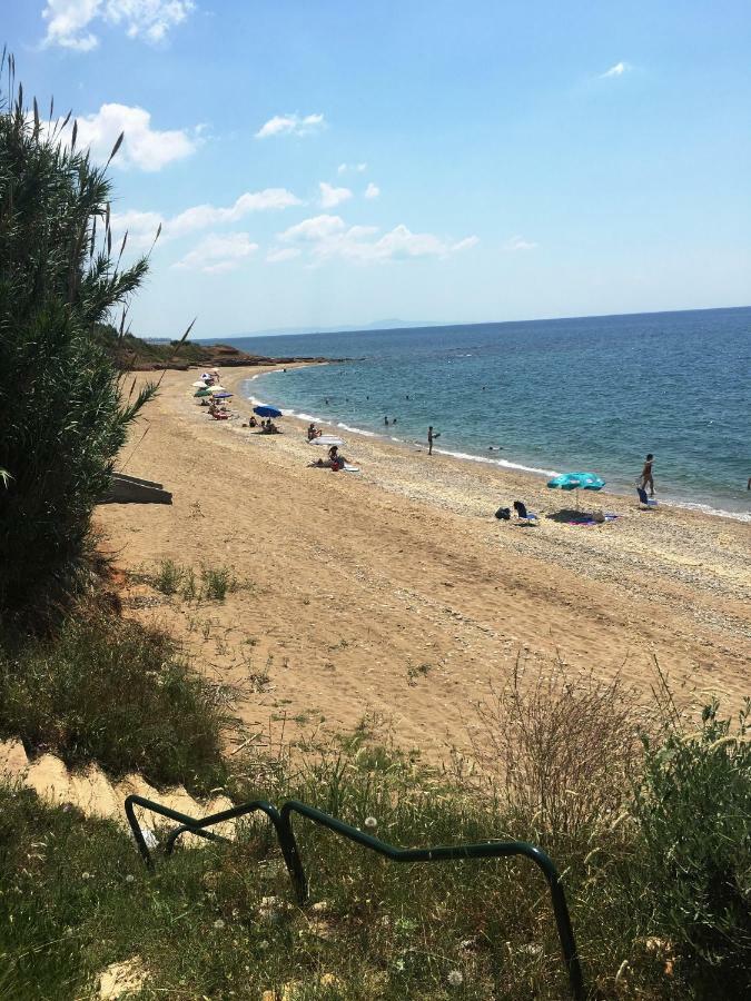 Estate Irene Vila Alexandroupoli Exterior foto
